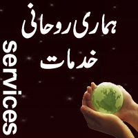 Our Services