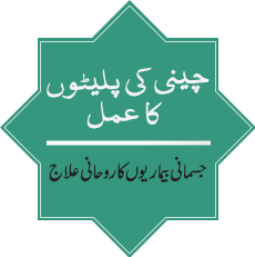 Chini ki Palaitoun ka Amal