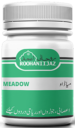 Meadow (میاڈاو)